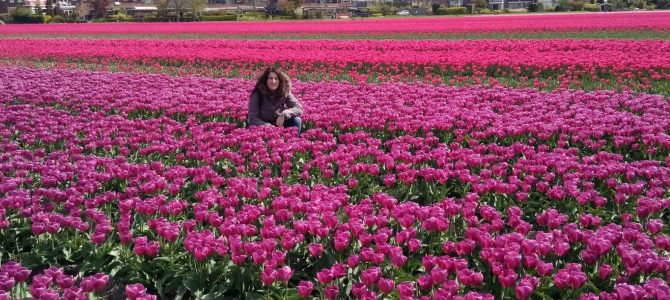 Keukenhof: la ruta de los tulipanes