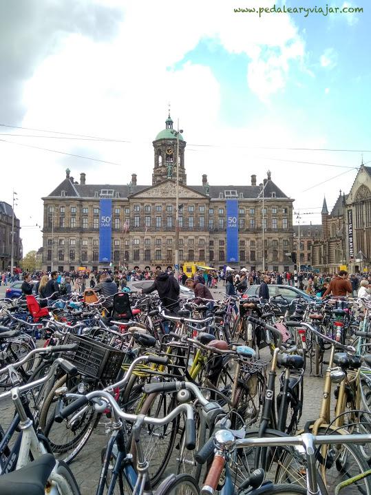 Amsterdam bicicleta